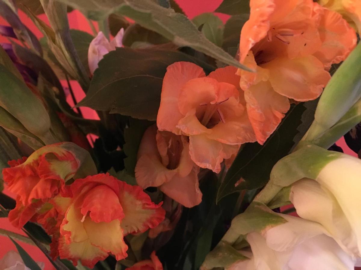 Bed & Breakfast Kaiserswerth Düsseldorf